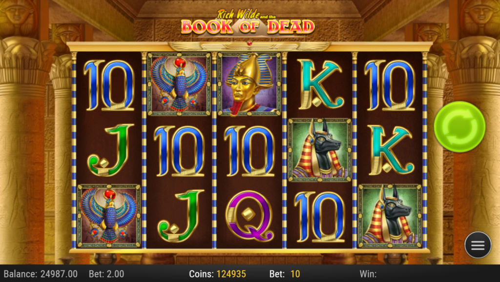 Book of Dead slot screenshot