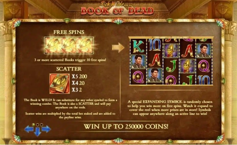 Book of Dead slot screenshot